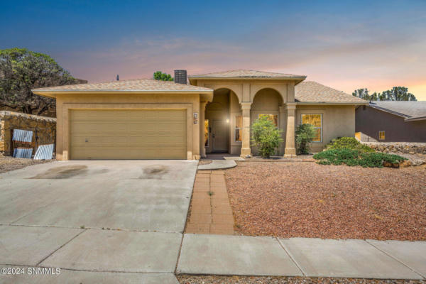 3317 SQUAW MOUNTAIN DR, LAS CRUCES, NM 88011 - Image 1