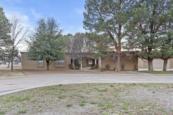 489 CUNNINGHAM RD, MESILLA PARK, NM 88047 - Image 1