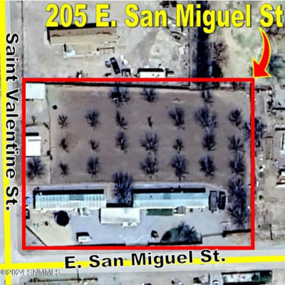 205 W SAN MIGUEL ST # 1, LA MESA, NM 88044 - Image 1