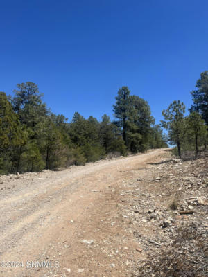 32 HUNGRY HORSE LOOP, TIMBERON, NM 88350, photo 2 of 9
