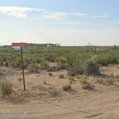 2225 GREEN RIVER LOOP, CHAPARRAL, NM 88081, photo 3 of 7