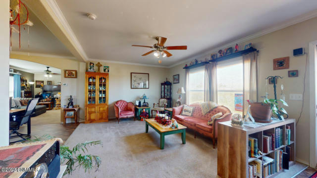 549 HERMOSA DR, CHAPARRAL, NM 88081, photo 4 of 69