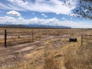 63 S BOOKOUT RD, TULAROSA, NM 88352, photo 4 of 7