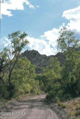 87 KAYTENNAE TRAIL RD, HILLSBORO, NM 88042, photo 4 of 11